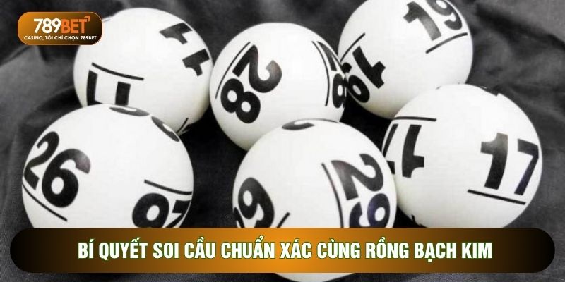 Bí quyết soi cầu chuẩn xác cùng rồng bạch kim