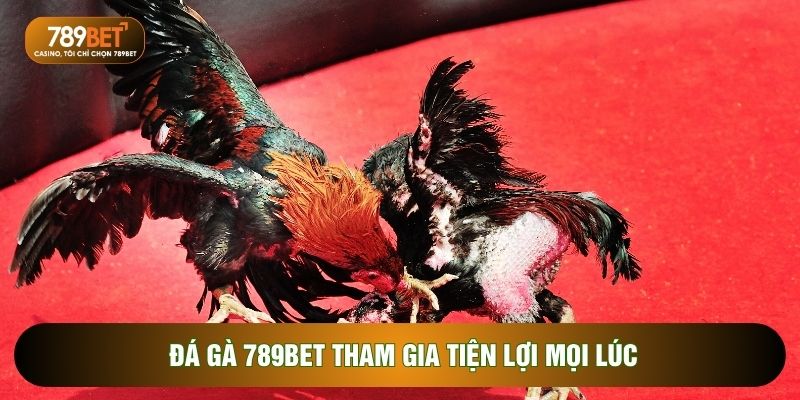 Đá gà 789BET tham gia tiện lợi mọi lúc