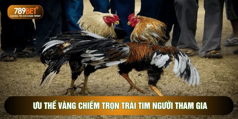 Ưu thế vàng chiếm trọn trái tim người tham gia
